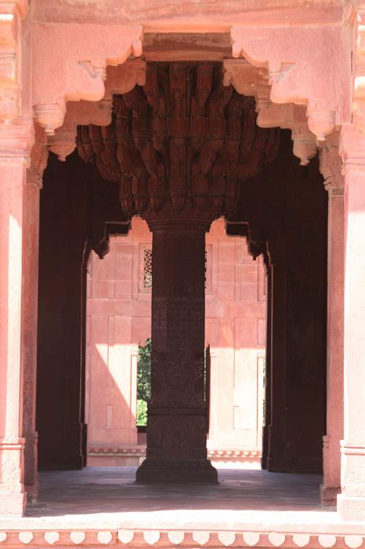 India & Nepal 2011 - 1299